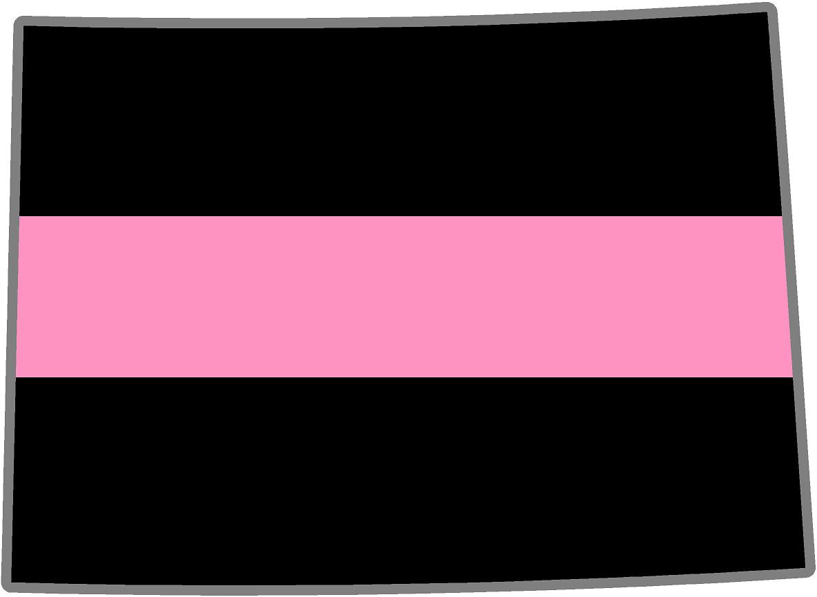 5" Colorado CO Thin PINK Line Black State Shape Sticker