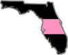 5" Florida FL Thin Pink Line Black State Shape Sticker